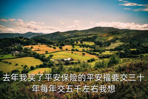 平安保險為什么要繳費30年，平安保險上面寫交費年期30年是指一直交費30年嗎當時保的時候...